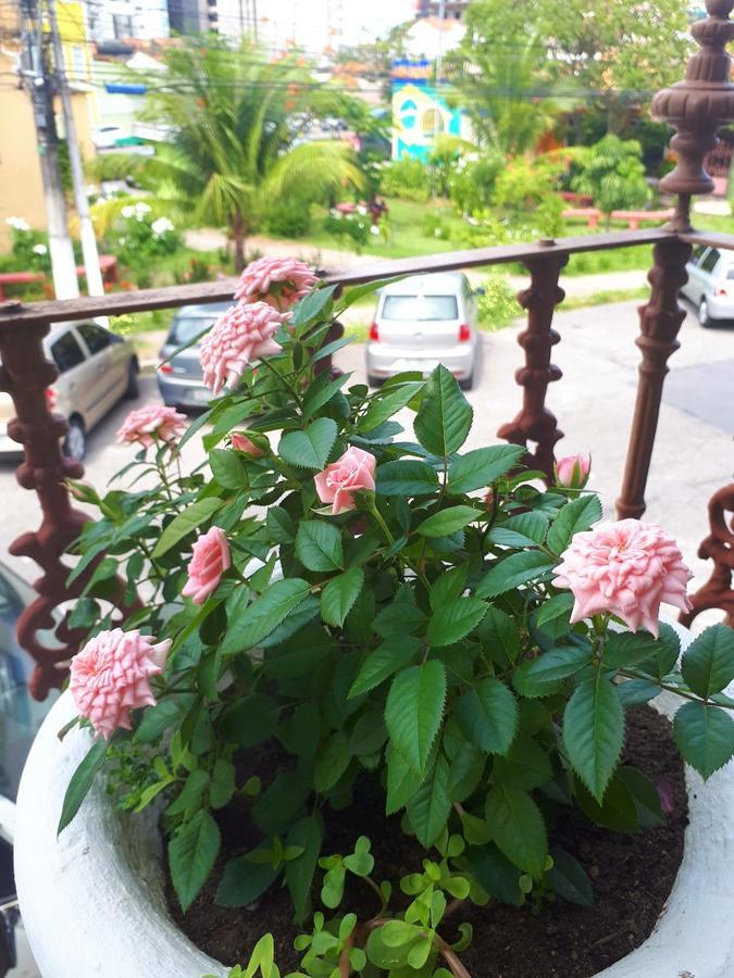 Casa Da Josi - Pajucara Apartment Maceió Екстериор снимка